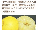 初めに剥いておく文旦。作り方11写真