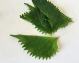 材料2つ！ちくわと大葉作り方2写真