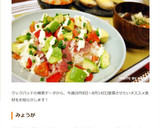 茗荷・大葉が爽やか♪ささみの胡麻味噌マヨ作り方12写真