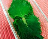 夏バテ防止！ 大葉にんにく醤油漬け！作り方1写真