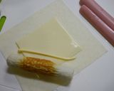 簡単！竹輪の焼きチーズ春巻き作り方1写真