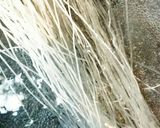 タコとオクラのワカメの酢の物作り方5写真