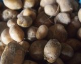 新じゃがの取扱い作り方4写真