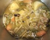 辛いけど美味しさ抜群!グリーンカレー♡作り方6写真