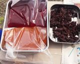 簡単☆ジップロックで漬ける梅干し作り方18写真
