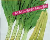 山くらげの中華風炒めもの作り方6写真