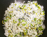 簡単 薬味たっぷりしらすのソフトふりかけ作り方13写真