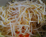 冷凍イカで簡単！イカと白菜もやしの中華煮作り方5写真