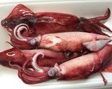 ヤリイカのトマトチーズ焼き作り方1写真