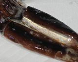 鮃昆布〆と烏賊を生雲丹と共に作り方1写真