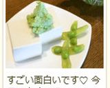 ワサビてんこ盛り?!ビックリ冷奴(温奴)作り方16写真