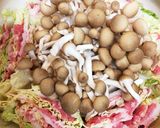 白菜豚肉ミルフィーユ鍋作り方4写真