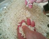 おいしい塩麹の作り方作り方3写真