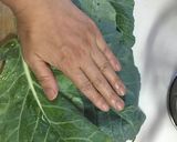 ケールとバナナのスムージー作り方1写真