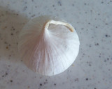 小さいじゃがいもの甘辛揚げ煮作り方4写真