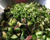 夏野菜で【激辛】茄子と胡瓜のあえ浅漬け作り方8写真