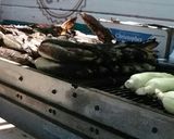 アメリカの屋台の 焼きとうもろこし作り方12写真
