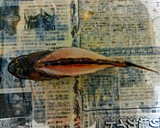 カサゴの丸ごとから揚げ♪作り方8写真