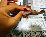 カサゴの丸ごとから揚げ♪作り方9写真