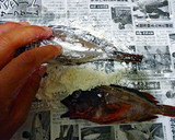 カサゴの丸ごとから揚げ♪作り方20写真