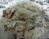 カサゴの丸ごとから揚げ♪作り方22写真