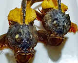 カサゴの丸ごとから揚げ♪作り方29写真