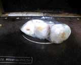 ぜんまいと油揚げと里芋の煮物作り方3写真