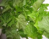青しそ大量消費、保存は酢に漬ける！作り方1写真