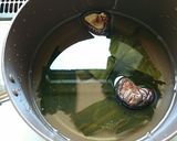 懐かしい味！我が家のそうめんつゆ作り方1写真