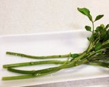 魅惑のグリーンサラダ2【クレソン編】作り方2写真
