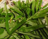 しめ鯖とスモークサーモンで茗荷寿司作り方2写真