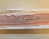 フライパンで♪うなぎのたれで鱧の付け焼き作り方1写真