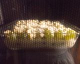 豆腐とヨーグルトでブドウのクラフティ風♡作り方6写真