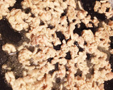 ご飯が進む♪ナスとそぼろの照り焼き丼作り方4写真