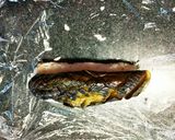 簡単！節約！子供もパクパク♡茄子の棒寿司作り方8写真