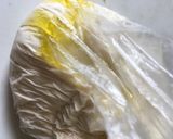 ビニール袋で！簡単マシュマロ&チョコピザ作り方3写真