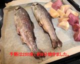 ニジマスをオーブンで焼く作り方4写真