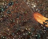アーユルヴェーダ美味しいお薬。作り方5写真