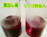 リンゴ酢で作る♪赤しそジュース作り方5写真
