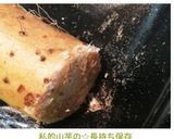 私的山芋の☆長持ち保存作り方8写真