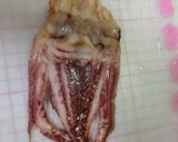 丸干し　いかするめの天ぷら　　簡単！作り方2写真
