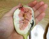 スプーンで簡単いちじくのむき方（食べ方）作り方2写真