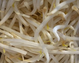 もやしとネギ*桜えびの大人焼きそば☆作り方1写真