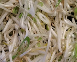 もやしとネギ*桜えびの大人焼きそば☆作り方5写真
