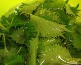 大葉大量消費！青じそふりかけ！青ゆかり⁈作り方1写真