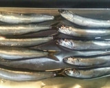 釣り料理1☆簡単カタクチイワシの竜田揚げ作り方1写真