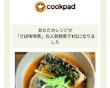 さば味噌煮作り方4写真