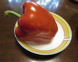 タコとトマトのマリネ　減塩だからおいしい作り方5写真
