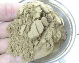 粉末機「コナッピー」でほうじ茶パウダー作り方6写真
