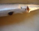 スルッとな♪サンマのワタ作り方3写真
